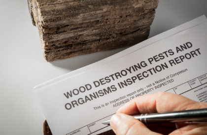 Pest inspection report for real estate transactions.